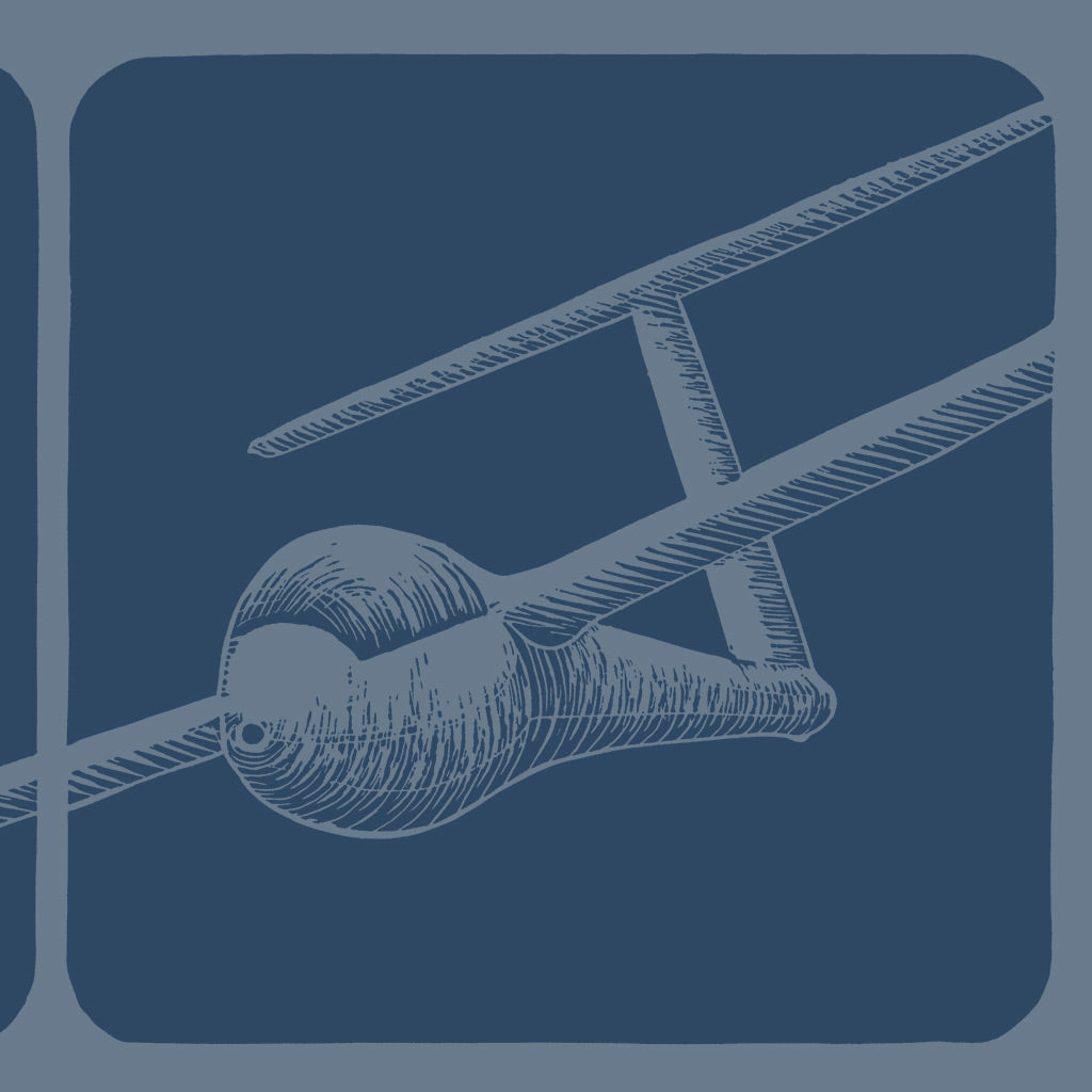 Sleep, Eat, Fly